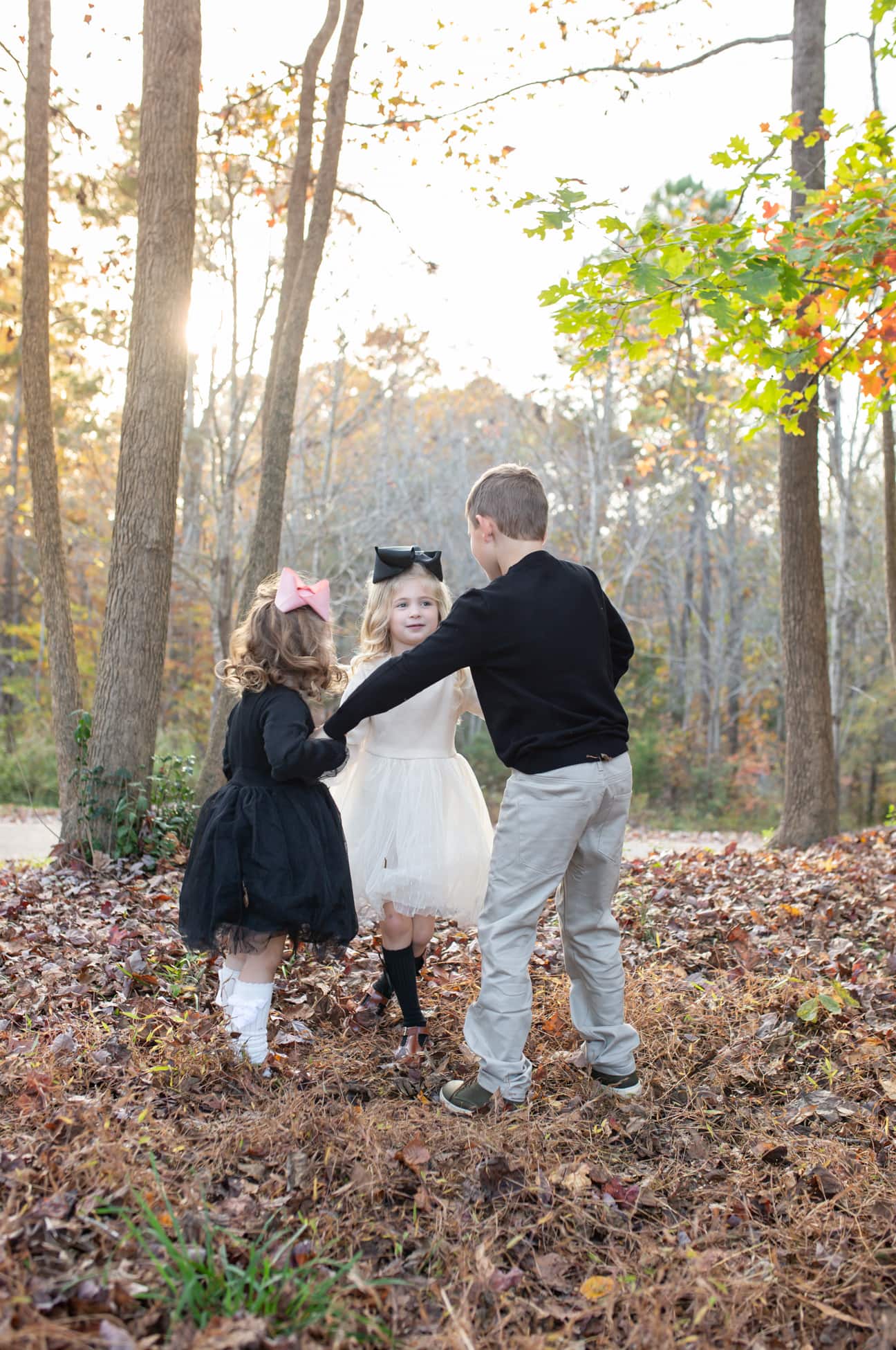 family photographer wake forest nc