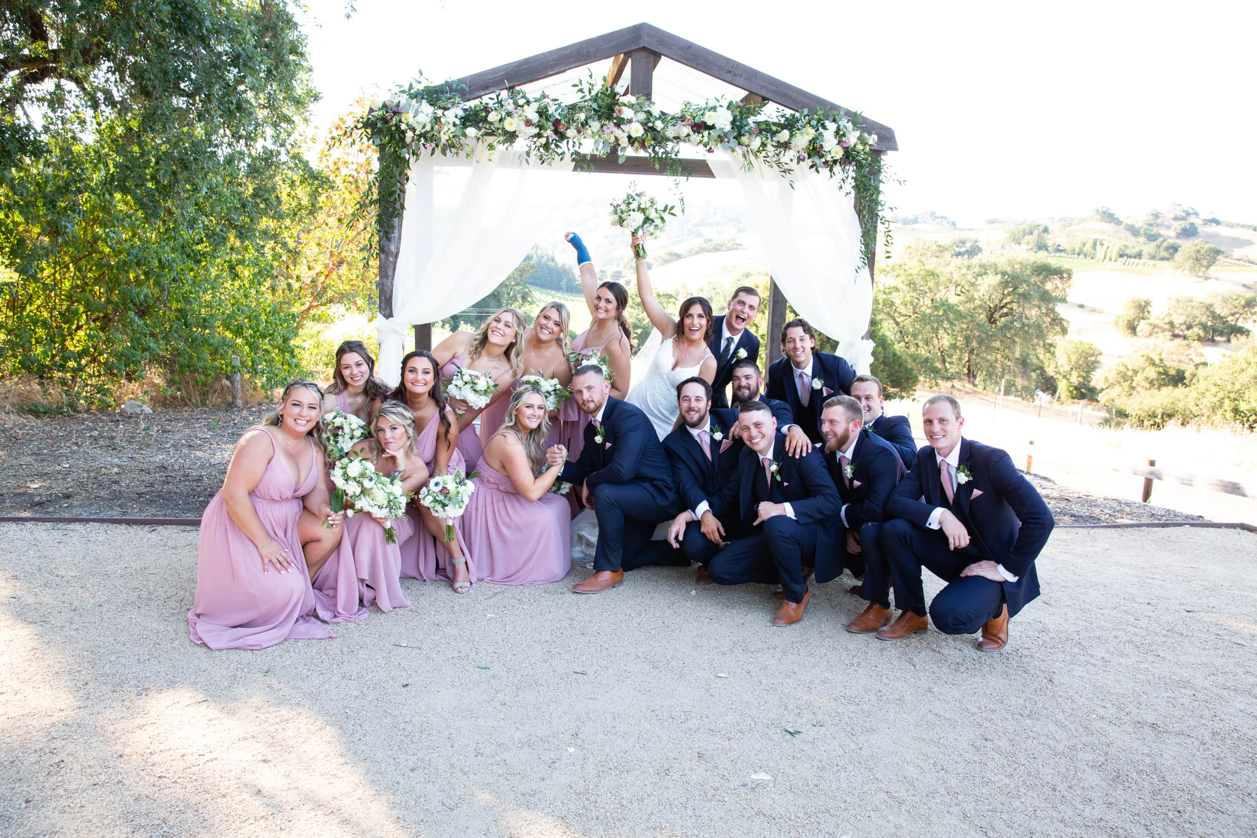 large wedding party by raleigh wedding photographer