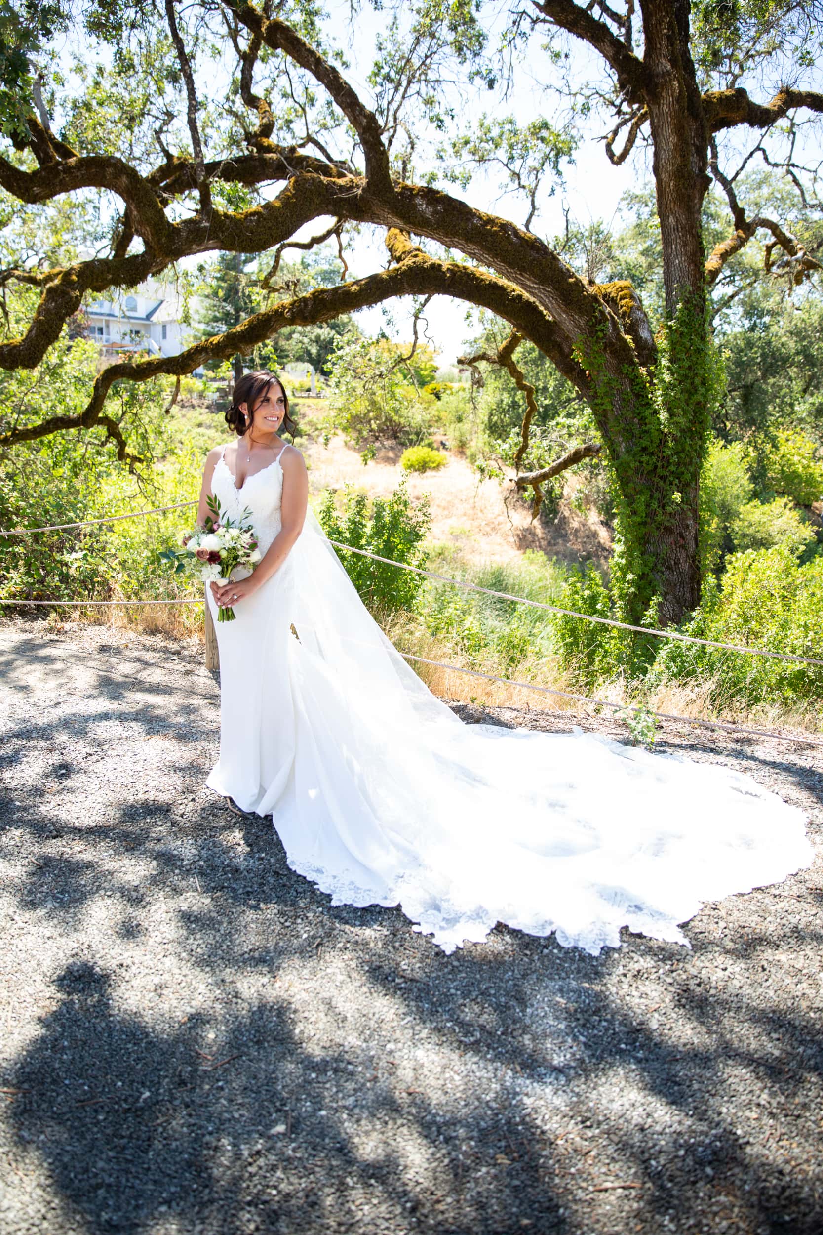 bridal portrait by an oak tree