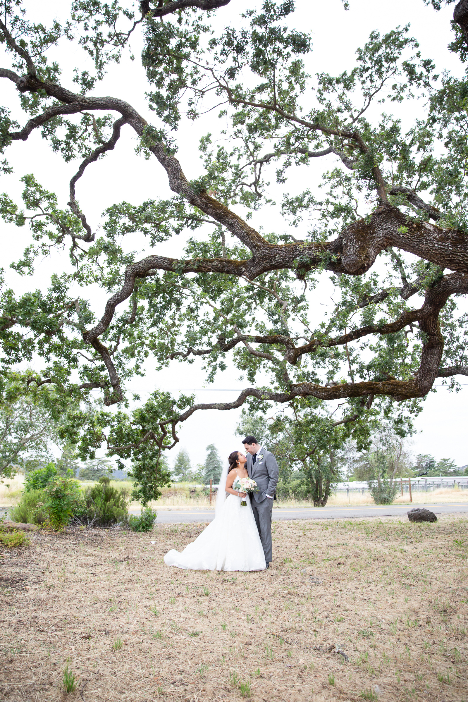 Bride and groom portrait. Raleigh Wedding photographer.